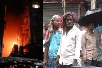 Black day for Mecchua