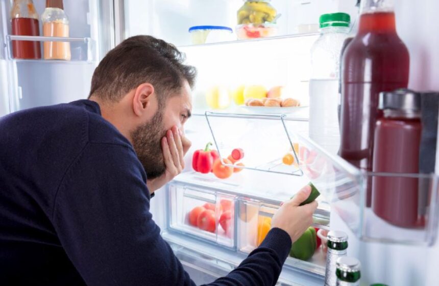 Fridge Odour