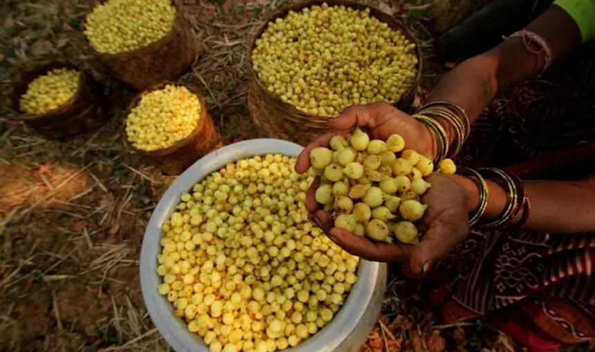 Mahua Flower