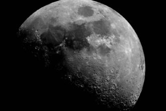 Sporosarcina Pasteurii