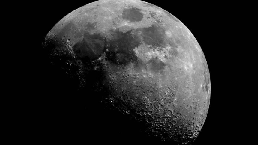 Sporosarcina Pasteurii