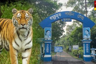 Garchumuk Zoological Park