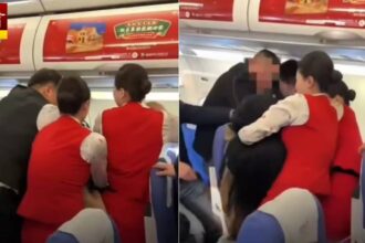Passenger Bites Air Hostess
