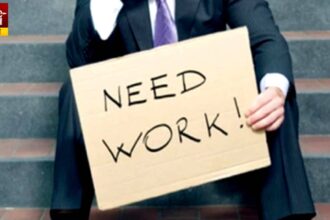 Unemployment Statistics Data