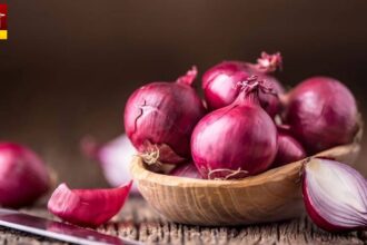Onion Benefits For Summer