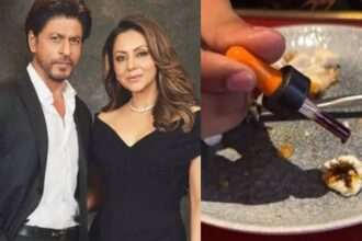 Shah Rukh Gauri Restaurant