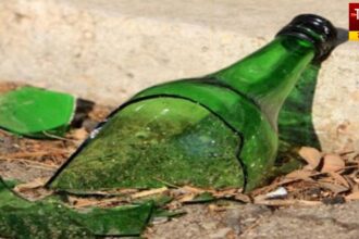 Madhya Pradesh Husband Murder Case