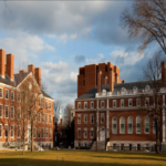 Student Visa Revoked