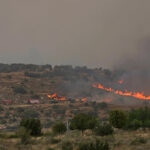 Jerusalem Wildfire