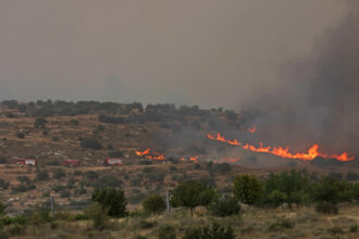 Jerusalem Wildfire