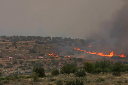 Jerusalem Wildfire