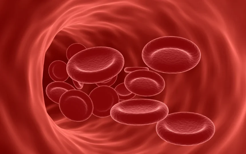 Iron Deficiency Symptoms