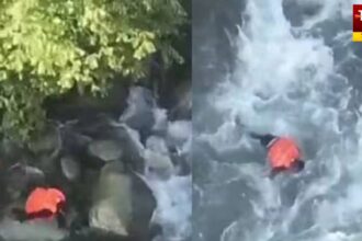 Pahalgam Terror Attack