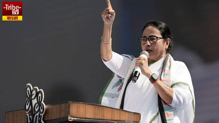 Mamata Banerjee In Murshidabad