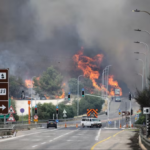 Israel Wild Fire