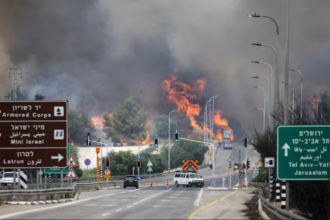 Israel Wild Fire