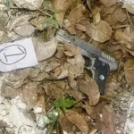 Punjab Terror Module