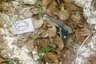 Punjab Terror Module