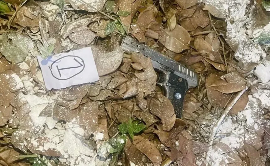 Punjab Terror Module