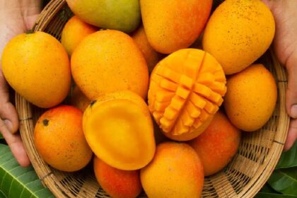 Mango