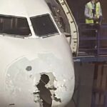 Indigo Plane Turbulence