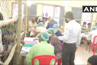 Voting Via Mobile App in Bihar