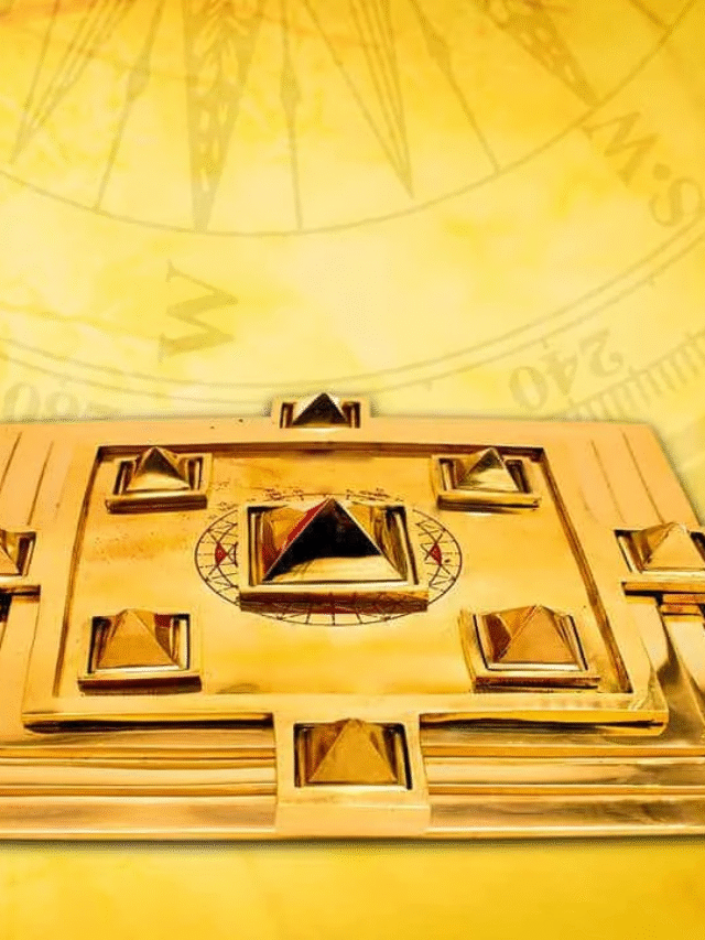 ঘরে ভুলেও রাখবেন না এসব জিনিস, দুঃখ পিছু ছাড়বেন না…