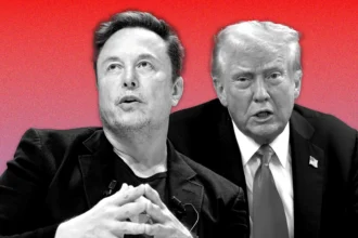 Donald Trump On Musk