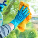 Natural Glass Cleaner