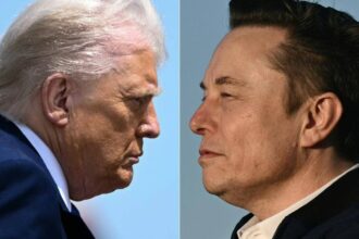 Trump and Musk