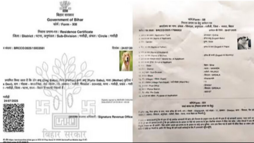 Residential Certificate Controversy