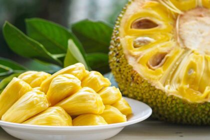 Jackfruit Breathalyzer Incident