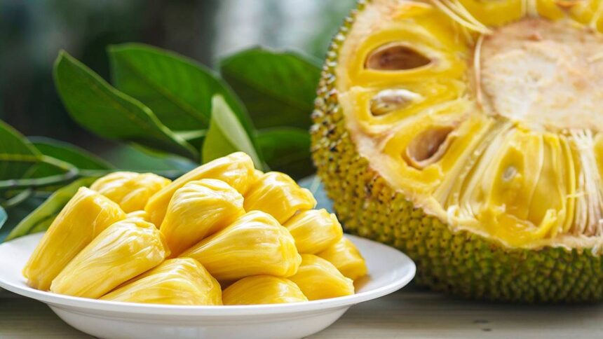 Jackfruit Breathalyzer Incident
