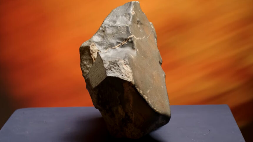 Martian Meteorite
