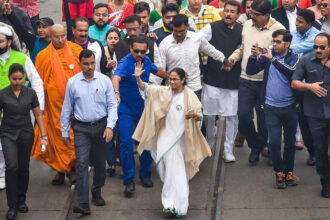 TMC language movement