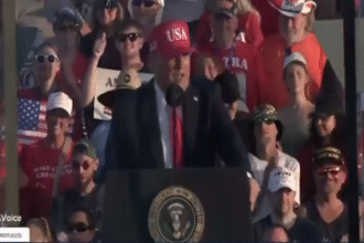 UFC Fight at White House Lawn