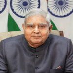 How will the next vice-president be chosen