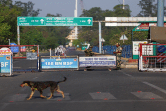 Indo-Pak One-Sided Trade