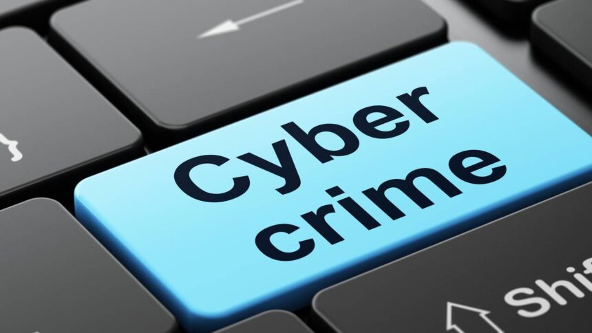 Cyber Fraud
