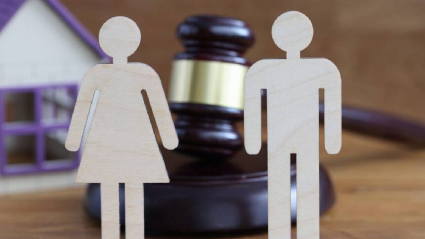 Son-in-law Property Rights