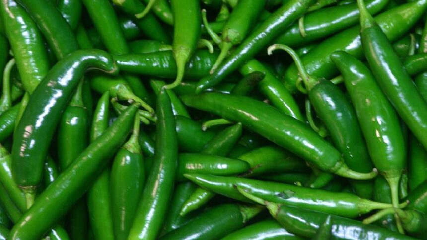 Green chillies