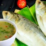 Hilsa fish
