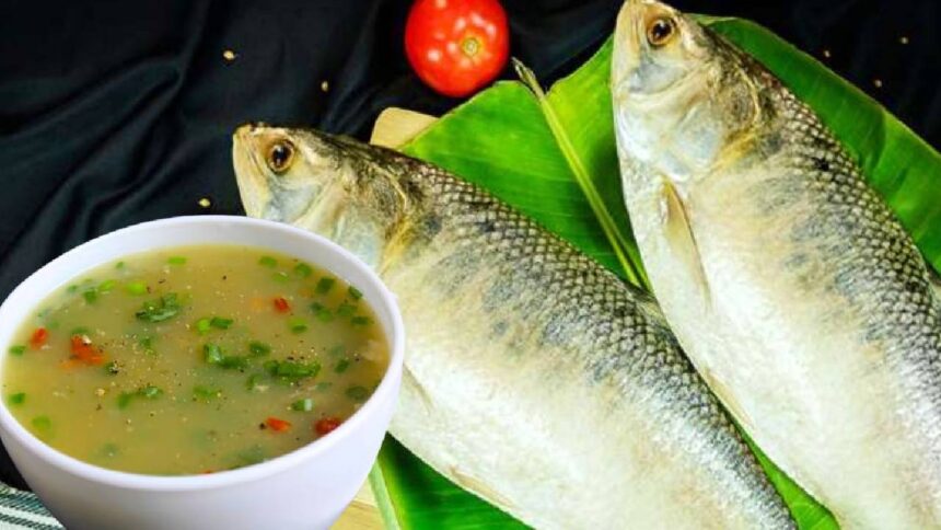 Hilsa fish