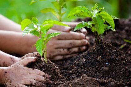 University of California