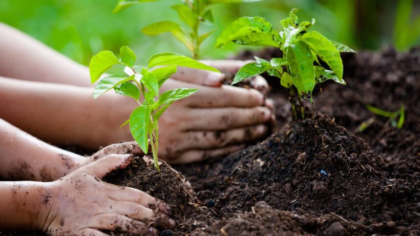 University of California