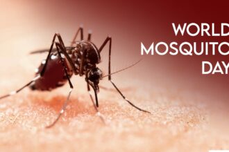 World Mosquito Day
