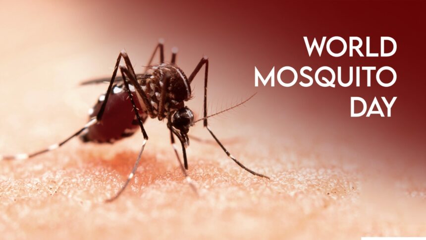World Mosquito Day