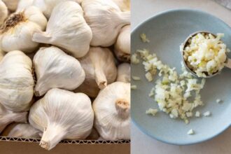 Garlic Benefits