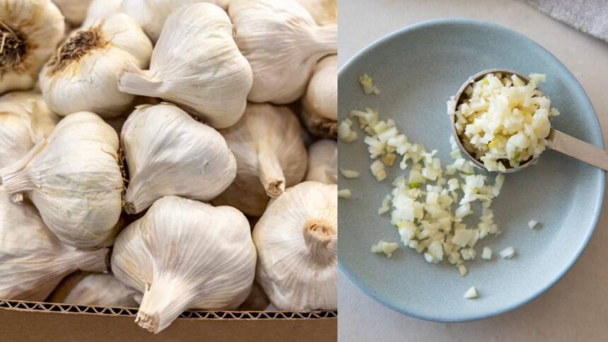 Garlic Benefits