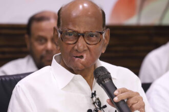 Vice President Election